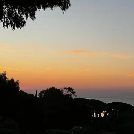 Villa Des Oliviers Grimaud