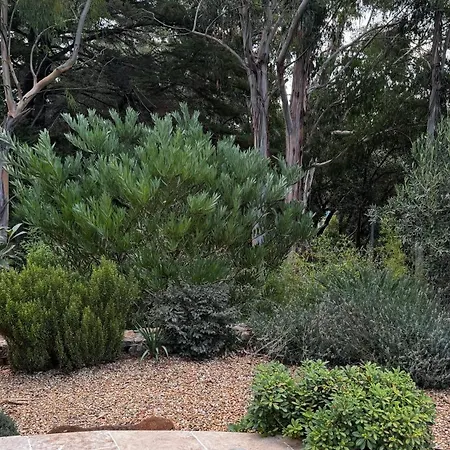 Des Oliviers Willa *