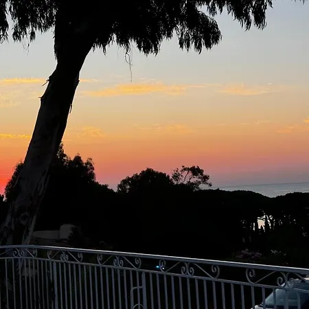 Des Oliviers Grimaud