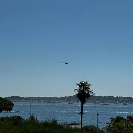 Des Oliviers Willa Grimaud