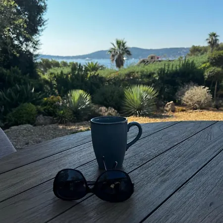 Willa Des Oliviers Grimaud