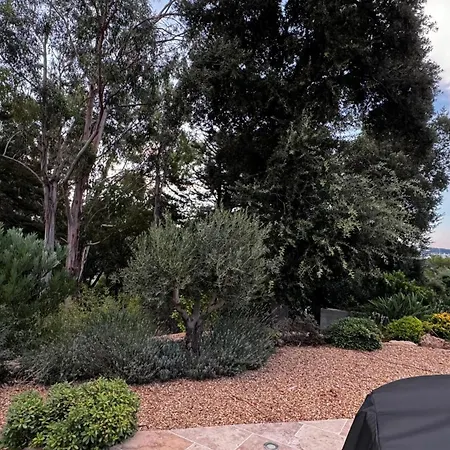 Willa Des Oliviers Grimaud