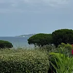 Des Oliviers Grimaud