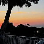Des Oliviers Grimaud