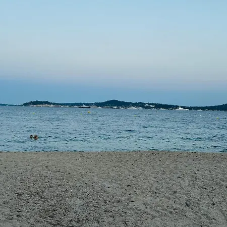 Des Oliviers * Grimaud